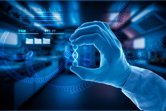 The Ultimate Guide to Improving Work Performance with Mushrooms